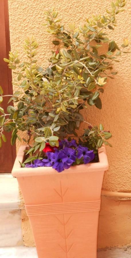 Elegant And Comfortable Apartment In The City Center Hermópolis Exterior foto